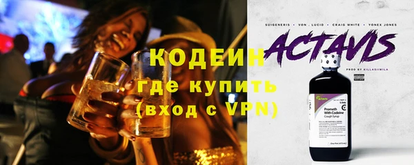 ГАЛЛЮЦИНОГЕННЫЕ ГРИБЫ Каменка