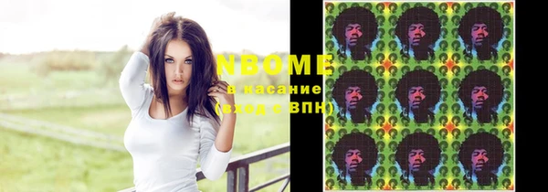 ГАЛЛЮЦИНОГЕННЫЕ ГРИБЫ Каменка