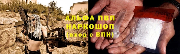 ГАЛЛЮЦИНОГЕННЫЕ ГРИБЫ Каменка