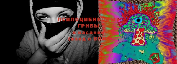 гидра Новозыбков